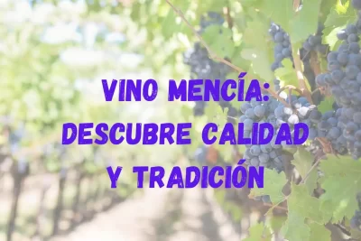 Vino Mencía: Descubre Calidad y Tradición